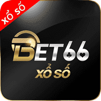 sudoku solvers asset nyt
